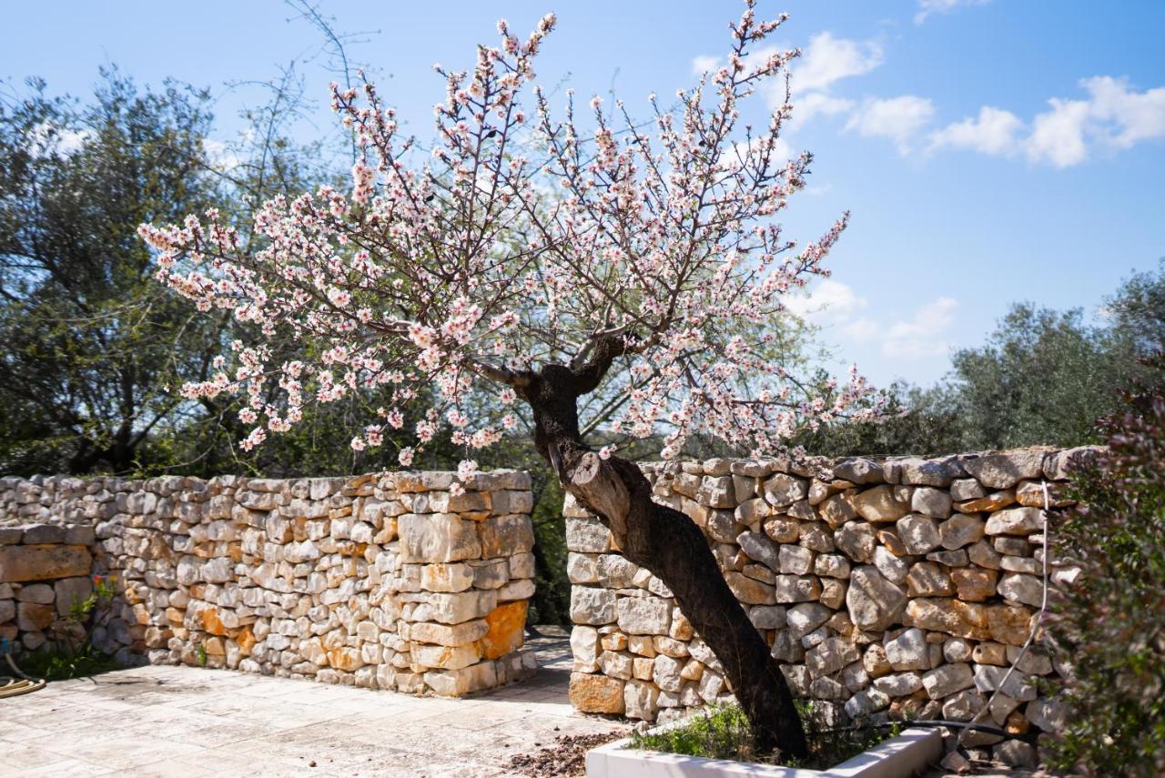 Masseria Montepaolo Dimora Di Charme 孔韦尔萨诺 外观 照片